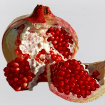 fresh pomegranate