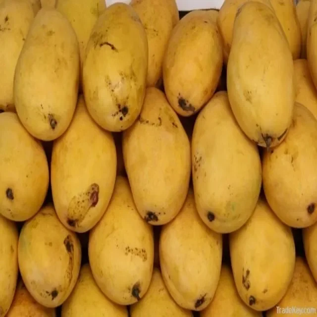 Fresh Mango