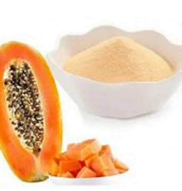 100% Pure Organic Papaya Leaf Powder Quality Assure Herbal Extract Indian Papita Patta Power ( Papaya Leaf Extract Powder )