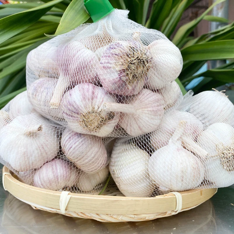 White garlic dried garlic from viet nam, 100% tax free