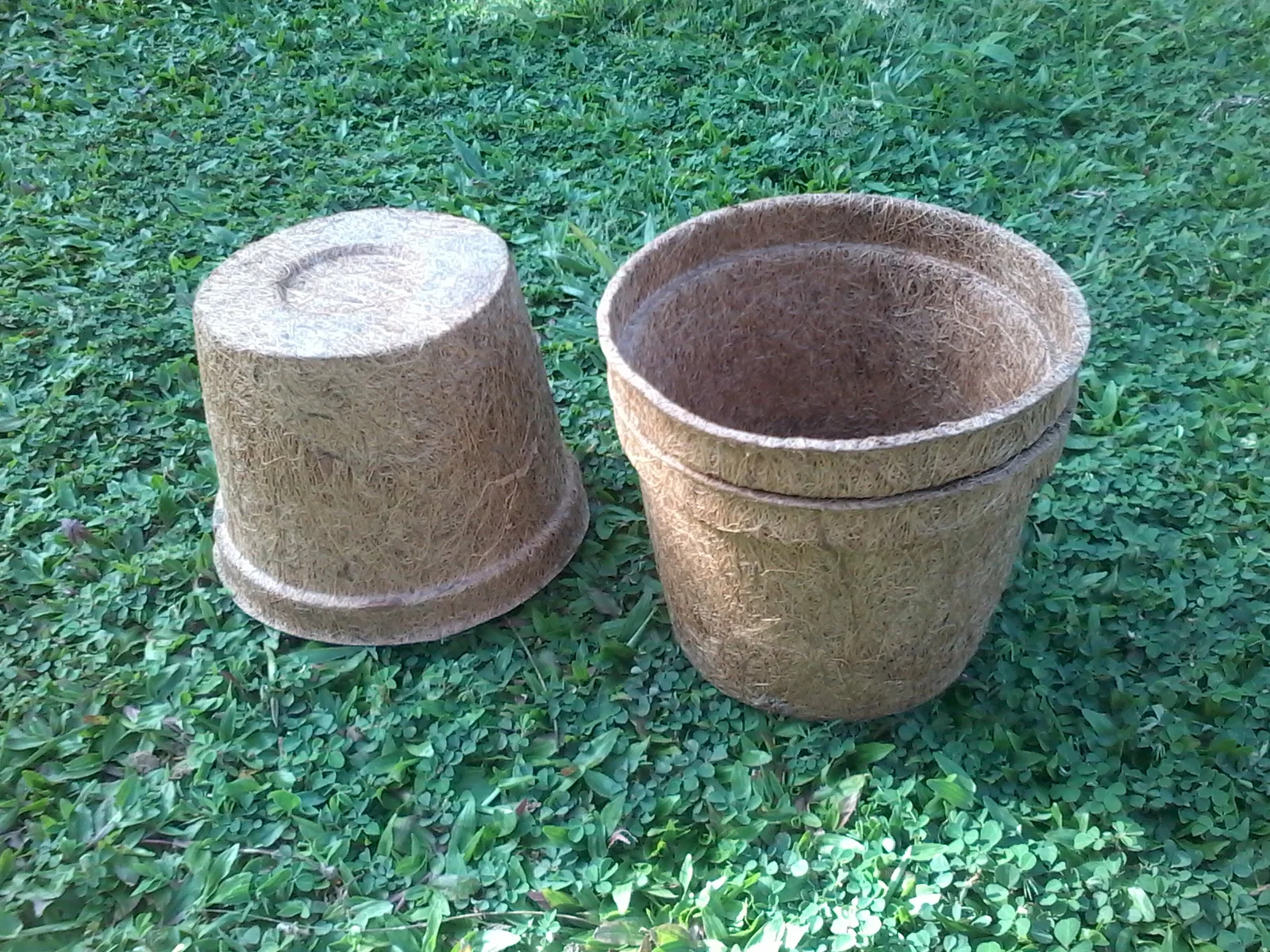 Natural Coir Disc