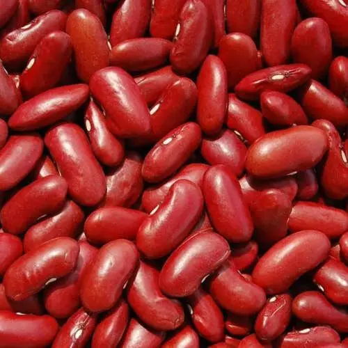 Non-GMO Red Kidney Beans and Red Beans with Wholesale Price / White Kidney Beans / Black Kidney Beans