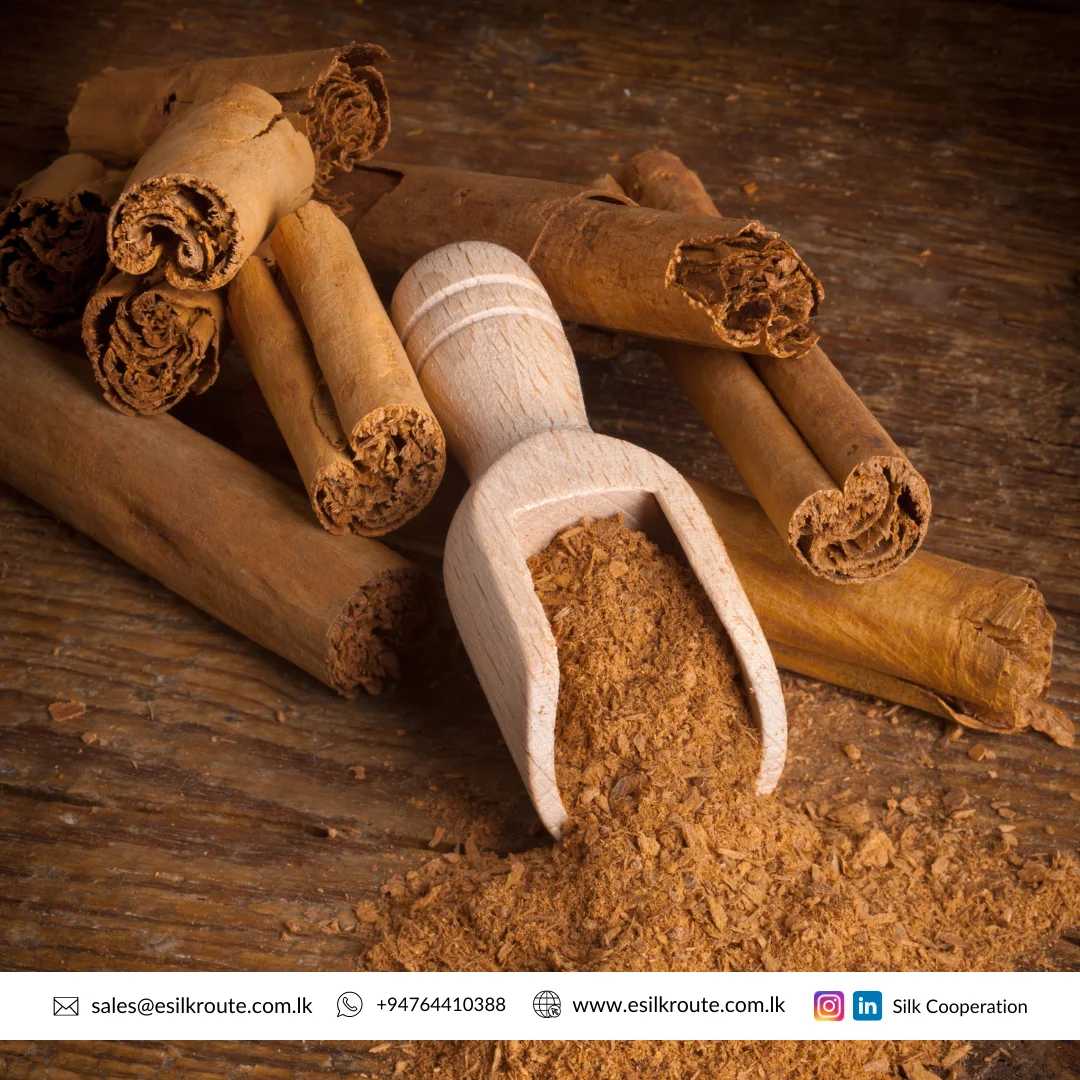 Spanish High Quality Cinnamon Finger Ceylon Spice Sticks Pure Natural Cinnamon Stick