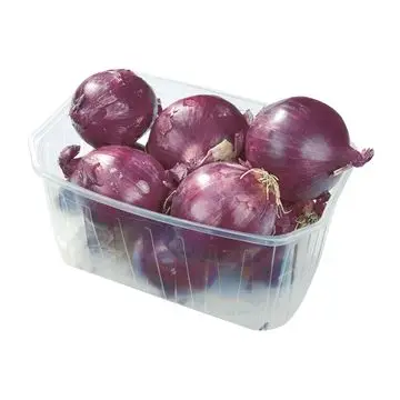 Top  New Session Best Selling Red Fresh Onion From India Manufacturer