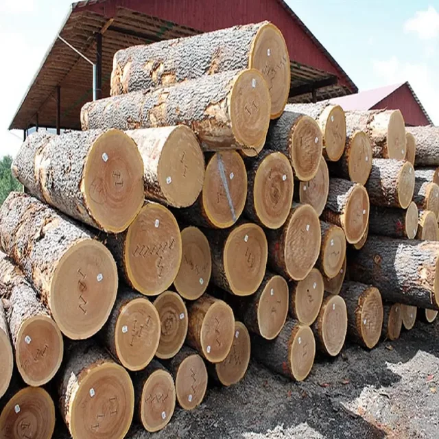 High quality soft and Hard Logs, Pine, Spruce, Birch, Oak Maple Logs Cheap price
