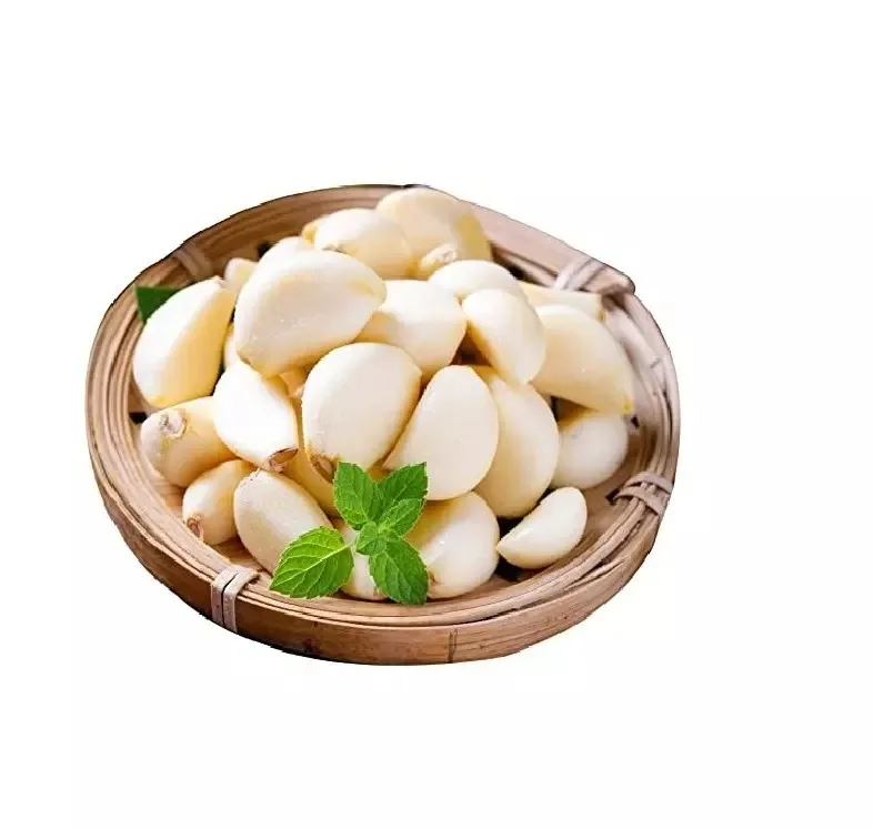 Fresh White Garlic with High Exporting  Quality