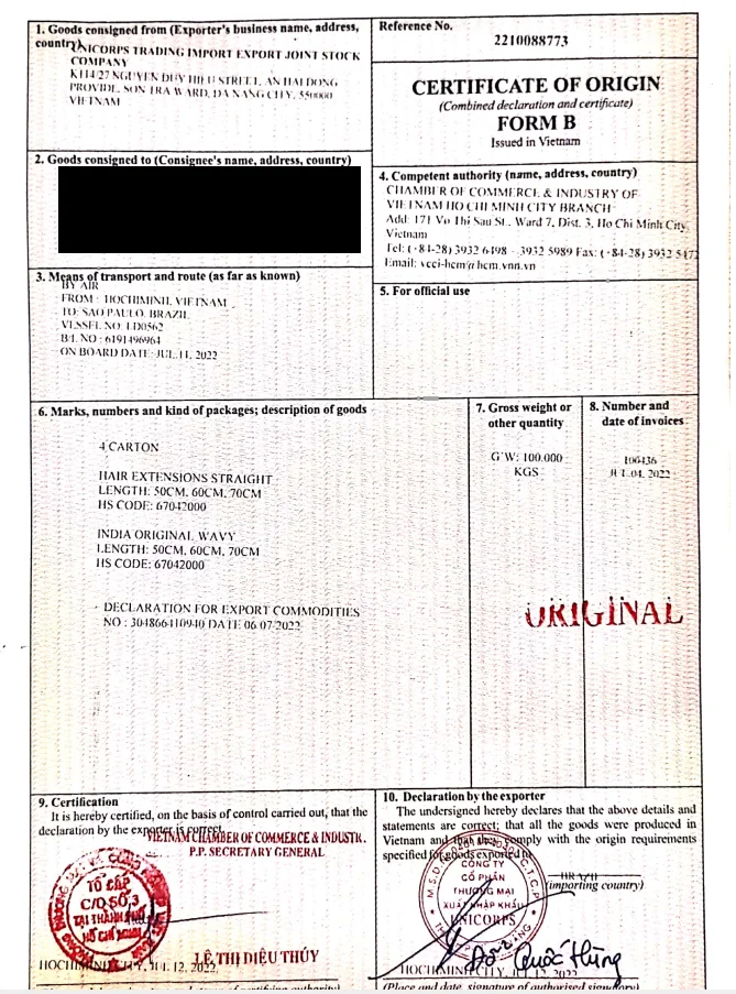 Raw Vietnamese Hair.PNG