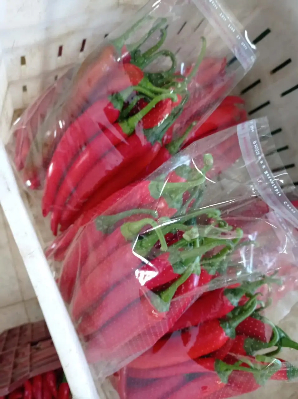 Fresh Hot Chili or Thai Pepper Premium Quality and Fast Shipping