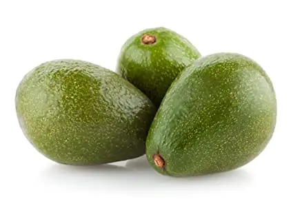 Wholesale 100% Fresh Avocado / Hass Avocado/Fuerte Avocado Fruit For Sale