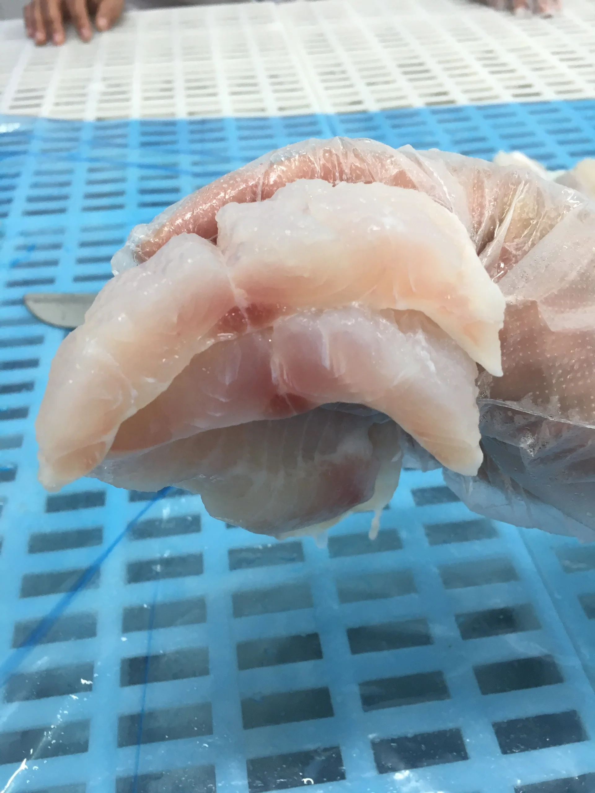 Bulk Supplier Package Customize Quality Cheap Price Shape with Skin frozen fish fillet Pangasius from Vietnam