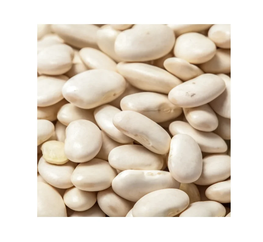 Wholesale White Kidney Beans for Sale Low Prices on Bulk Orders Perfect for Food Manufacturers and Restaurants