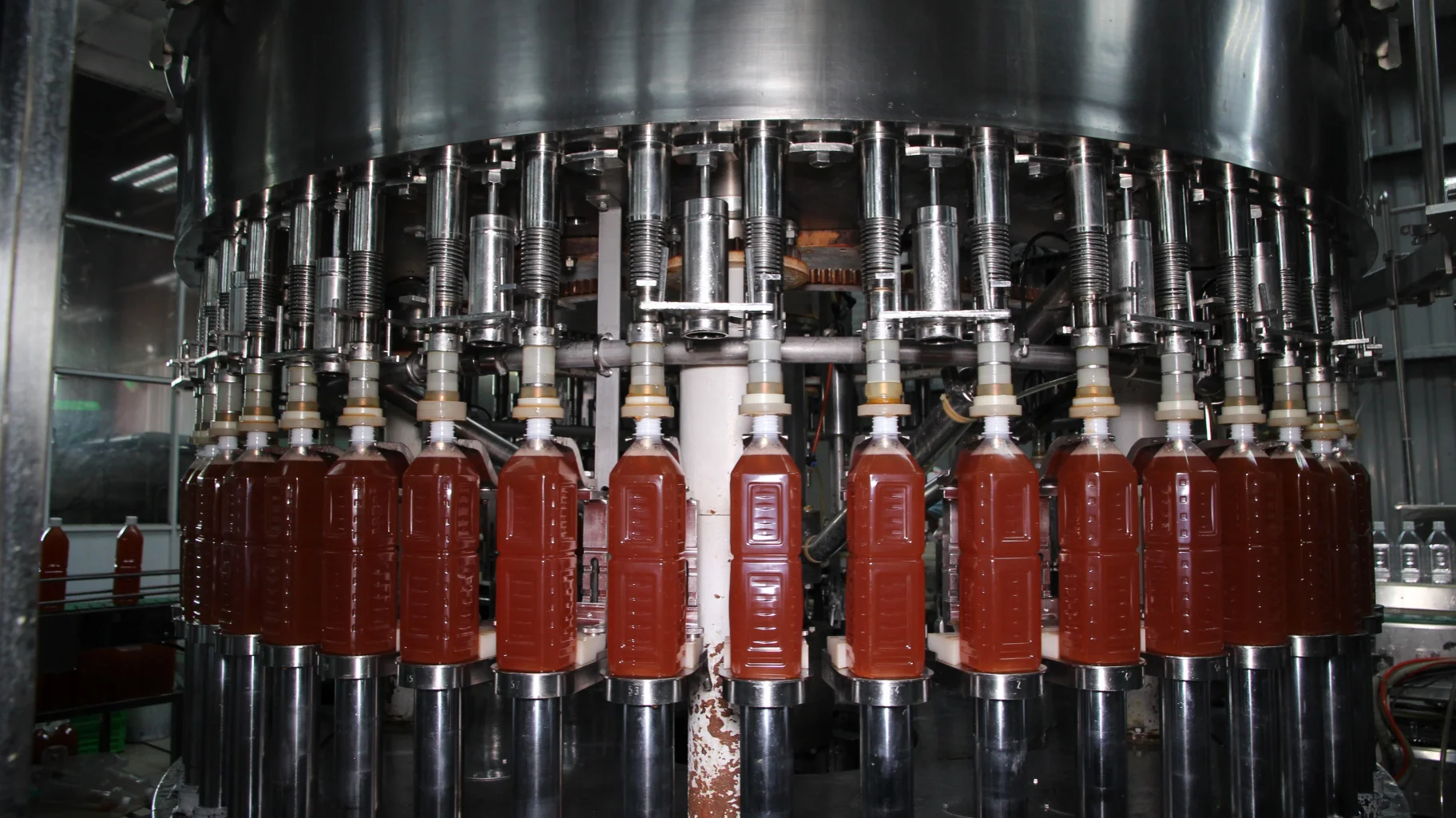 11 fl oz Vinut NFC Coconut water Sparkling water