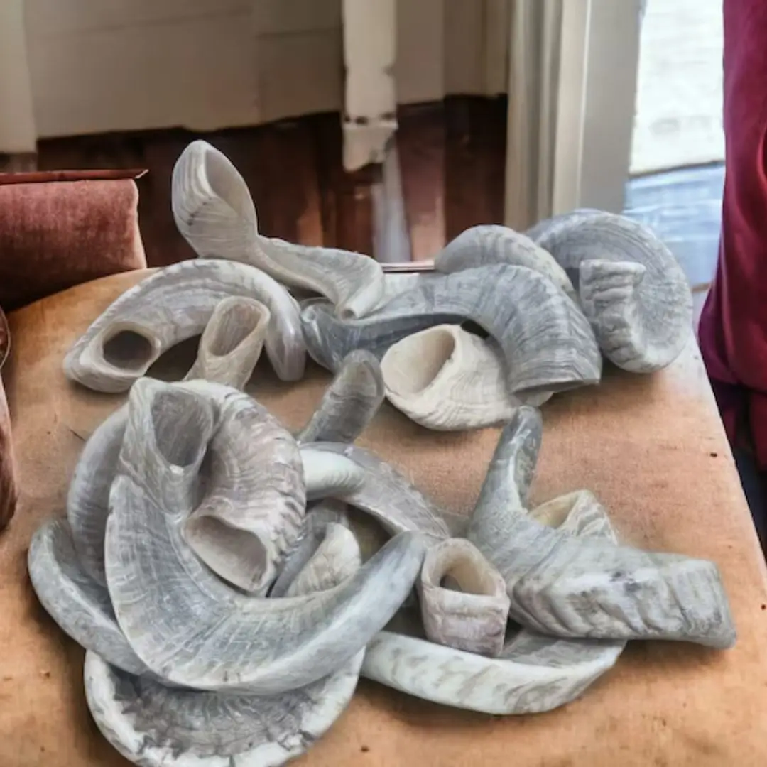 Nhe Overseas Best Top Natural Ram Horns Large Eco-Friendly Cotton Dog Chew & Treats Sale on Best Top Lamp Horns