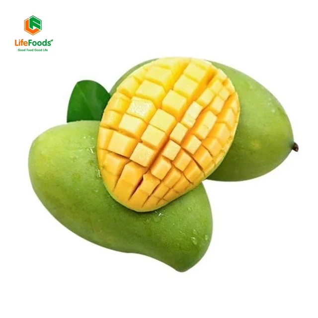 Storage cool reasonable place life price package shelf origin fresh mangos Fresh Hoa Loc Mango Lifefoods from Vietnam