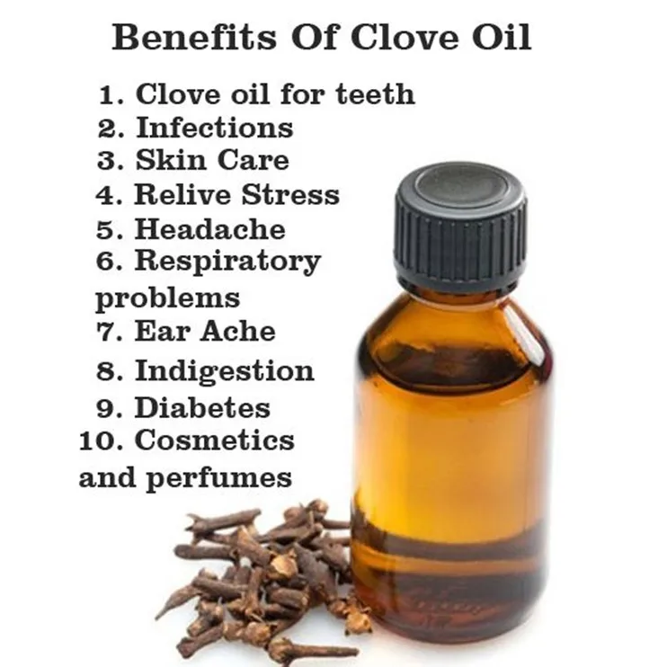 Therapeutic grade Clove essential oil Manufacturer, Tanzanian Organic Clove leaf oil Clove bud oil Bulk price Kg