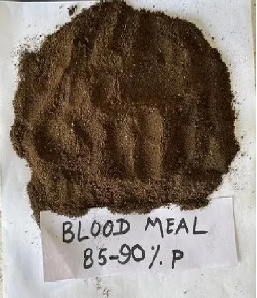 Blood Meal Animal Feed Suitable For Poultry Export At Best Price Supplier and Manufacturer In India