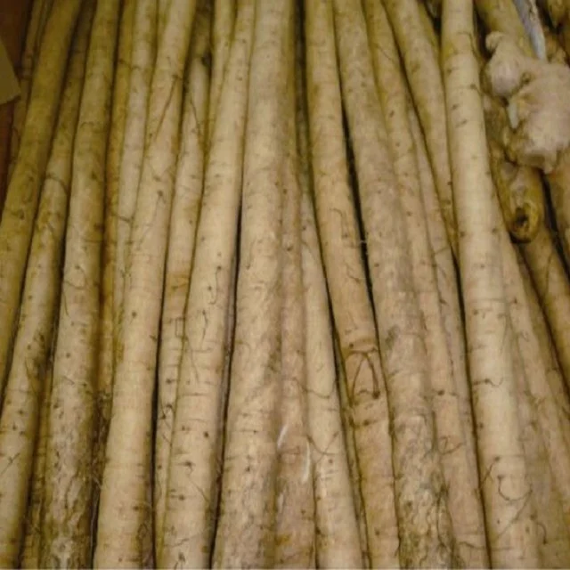 Fresh burdock Bulk IQF frozen fresh burdock