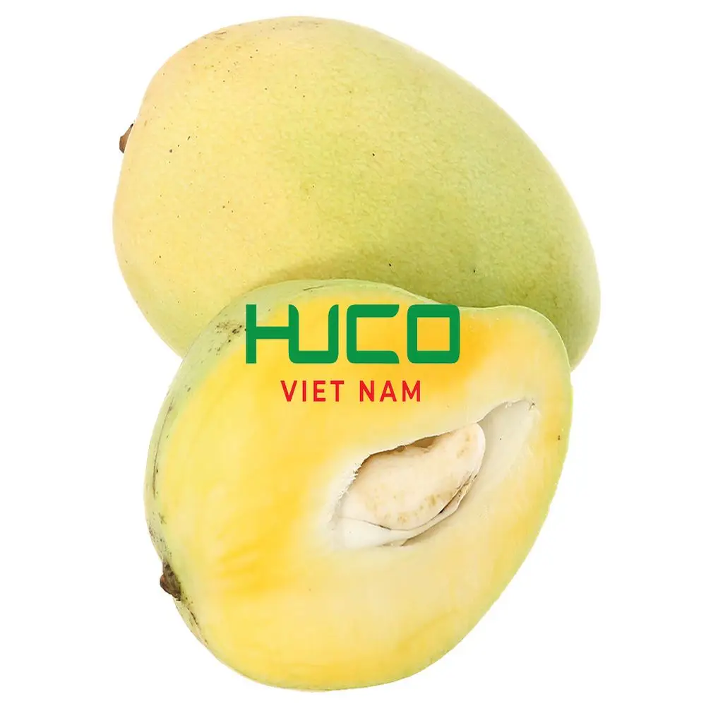 High Quality Low price Vietnam Tropical Fresh Mango