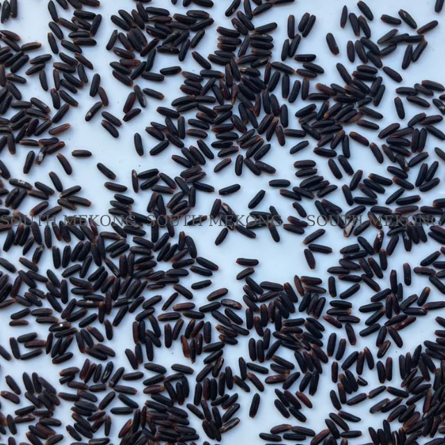 BLACK STICKY RICE new crop export by SOUTH MEKONG VIETNAM