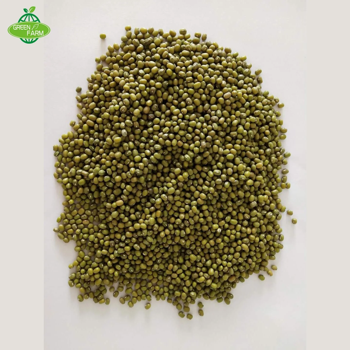 HOT SALE Green mung bean Moong dal sprout mung beans use for sale