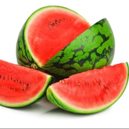 Fresh Watermelon Best Price Vietnam