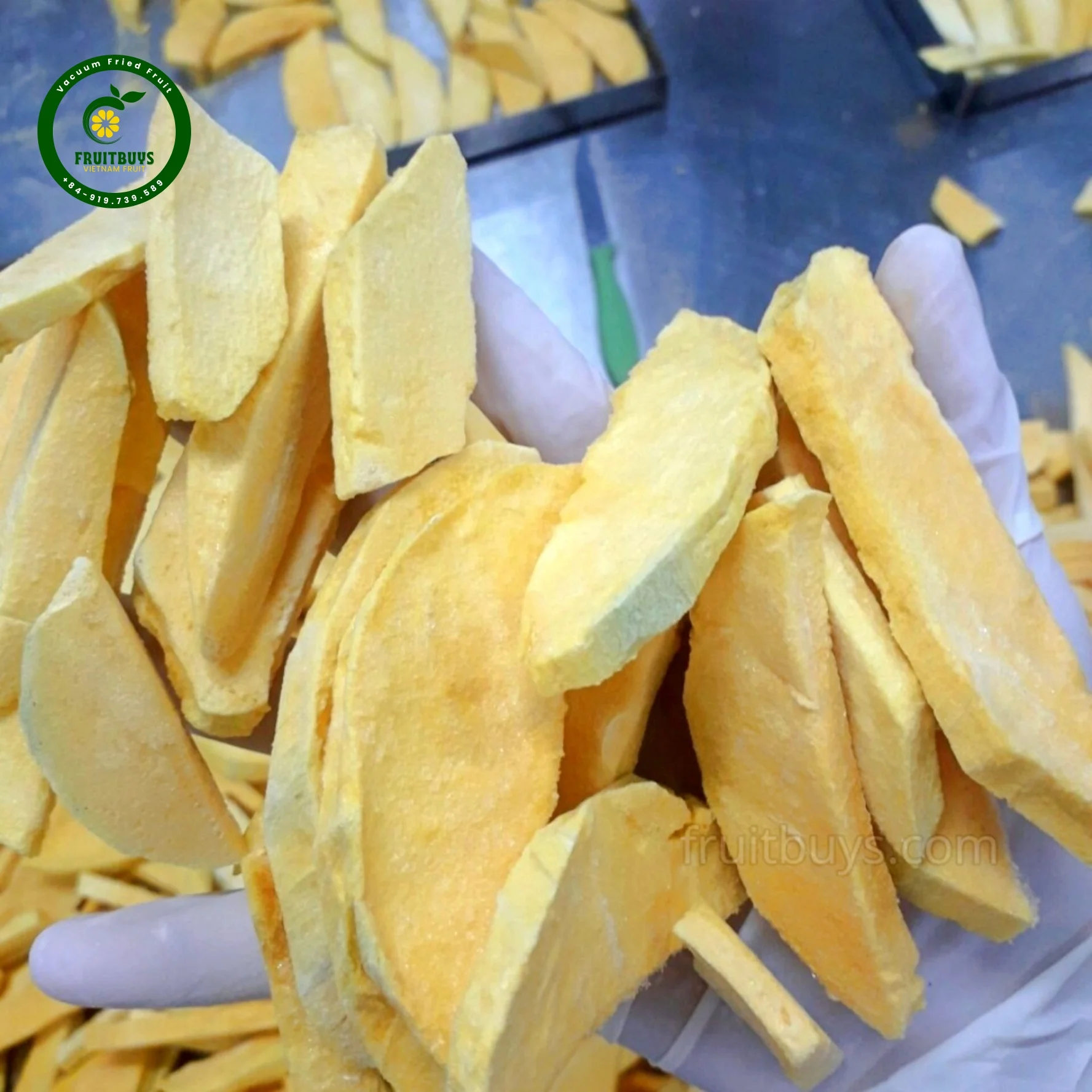 Exotic Mango Chips Fruit & Vegetable Snacks Wholesale Sweet Vietnamese Tropical Snack to Stimulate Your Taste Buds
