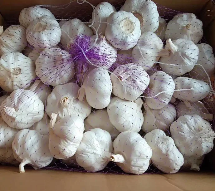 Wholesale Newest Crop Sumatra Red Onions Fresh and Original from Indonesia Premium Quality Onion Suppliers