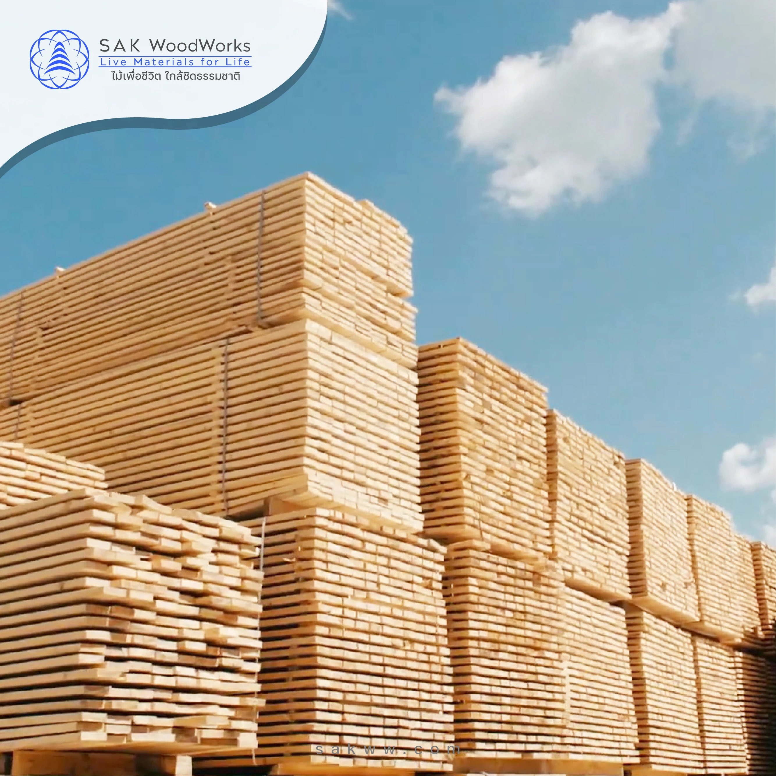 Northern White Russian Pine & Spruce Timber KD S4S 35 x 145 x 6000 mm. SAK WoodWorks Excellent for all applications and decor
