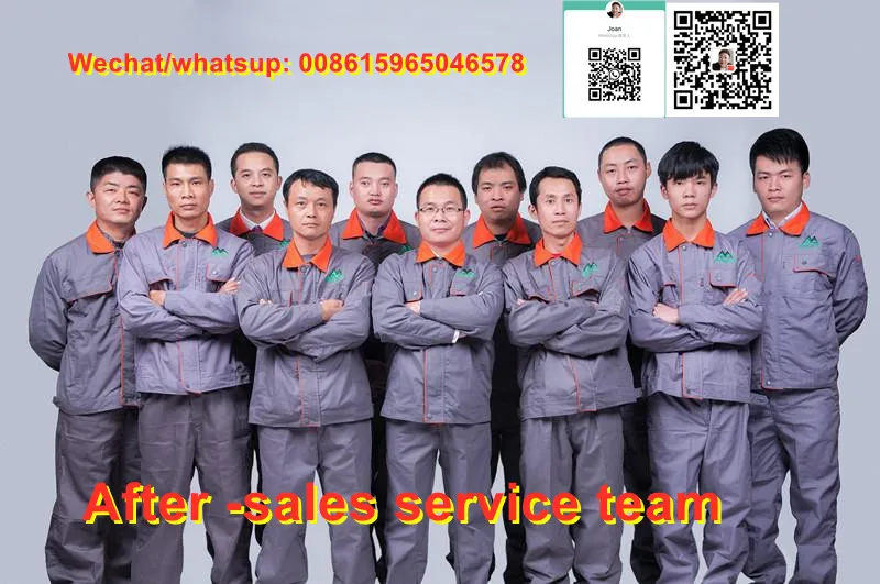 Gas  medical waste incinerator price factory