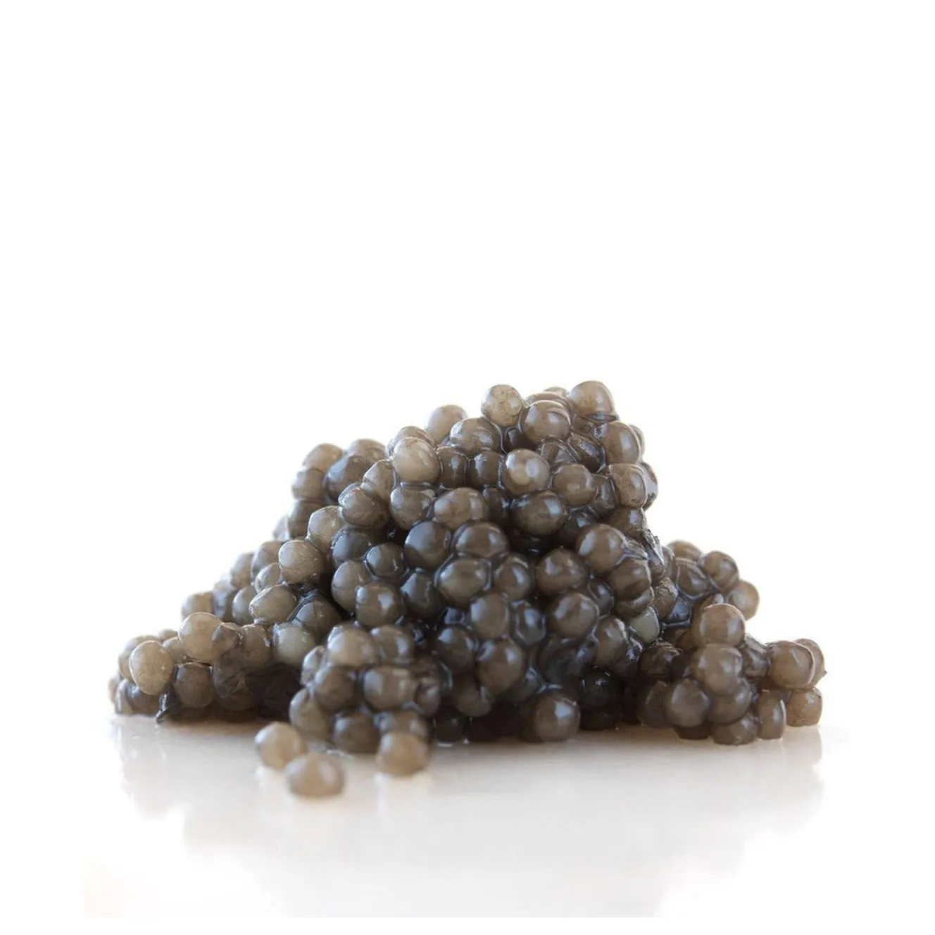 Tin Cans for FROSISTA HYBRID STURGEON CAVIAR Tuna Fish