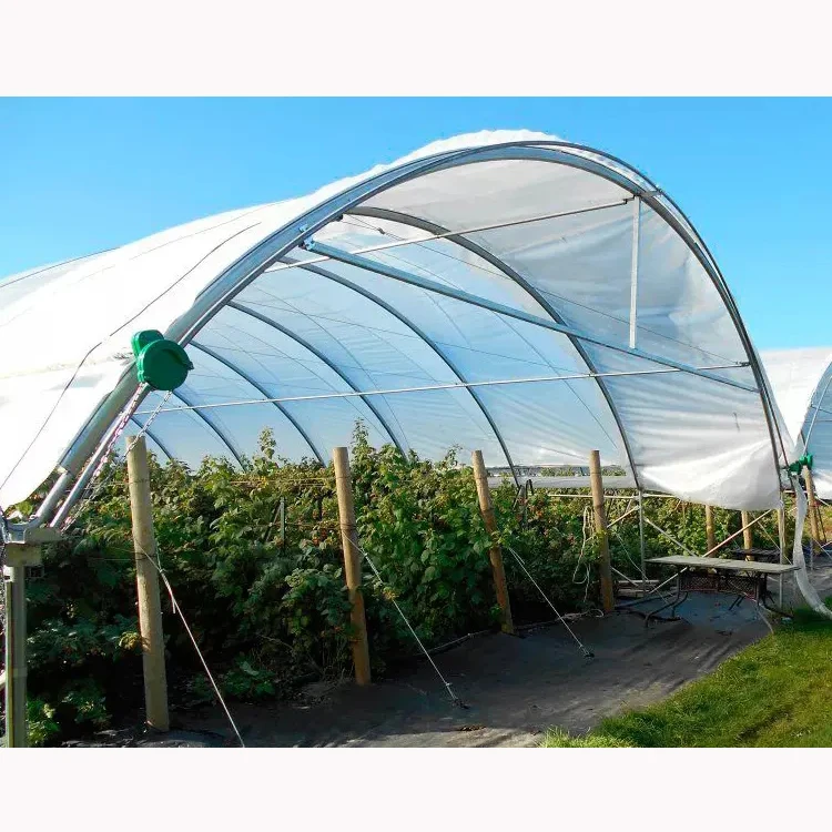 Rain Cover Tunnel Green House Tunnel Film Greenhouse Hot Galvanized Frame Strong Structure Rain Shelter Greenhouse