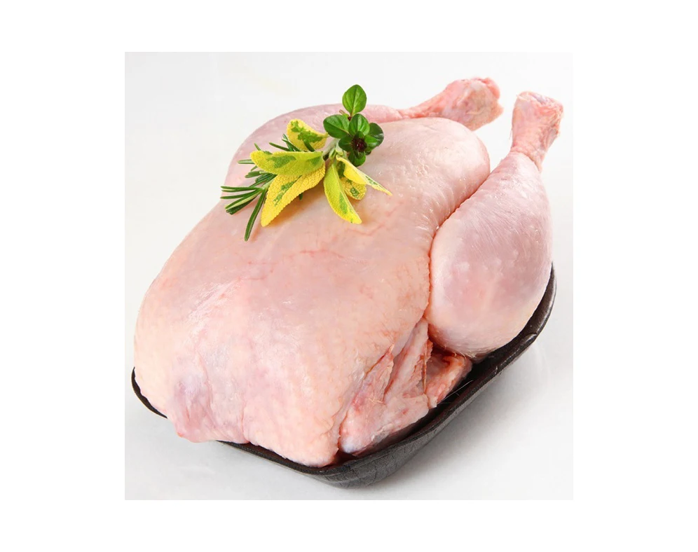 Best Quality Healthy and Natural Whole Chicken Halal Frozen Whole Chicken From Poultry Meat Chicken
