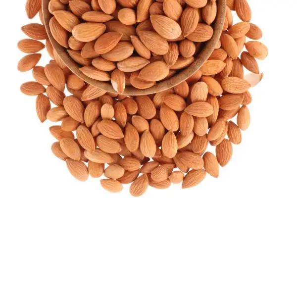 Italian Dried Apricot kernels /Healthy seeds nuts kernels with High Quality