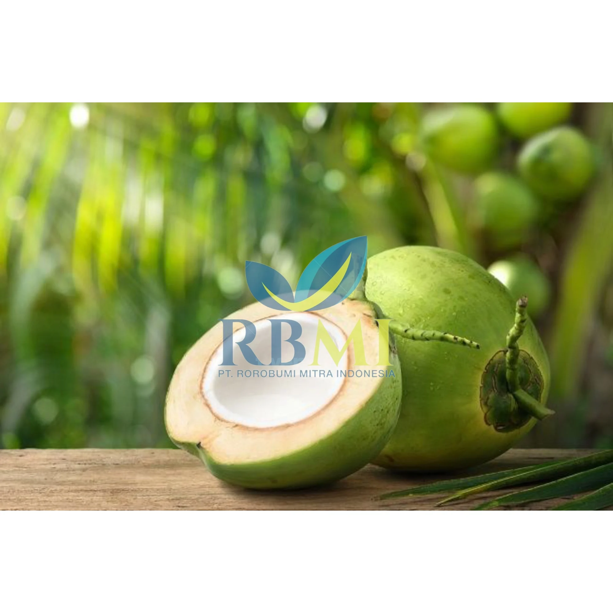 Cheap price FRESH GREEN YOUNG COCONUT FOR HEATHY MADE IN Indonesia ready  for export diamond cut shape