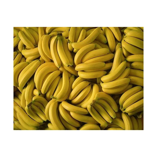 Fresh Banana Sweet Freshly Cropped Bananas