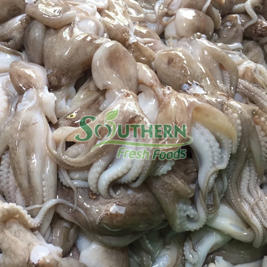 WR Wild Caught SFF Packing shelf usage style quality high products 2 years life seafood export Frozen Baby Octopus from Vietnam