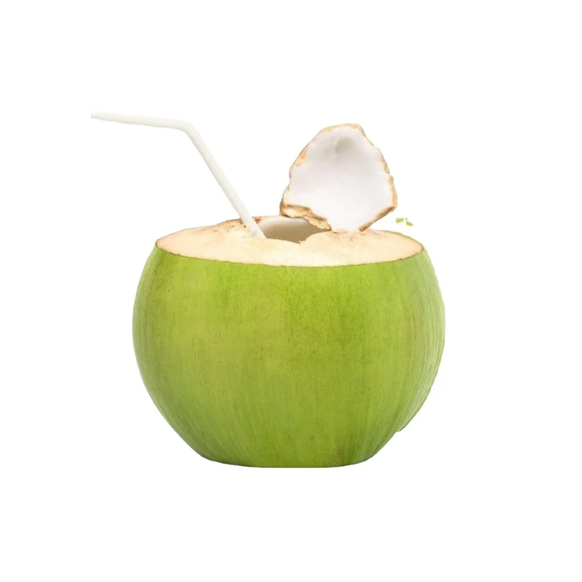 Extra Product Grade of Tropical Fruits of Young Coconuts White Color 100% Organic Sweet Taste Thailand Export Large Market