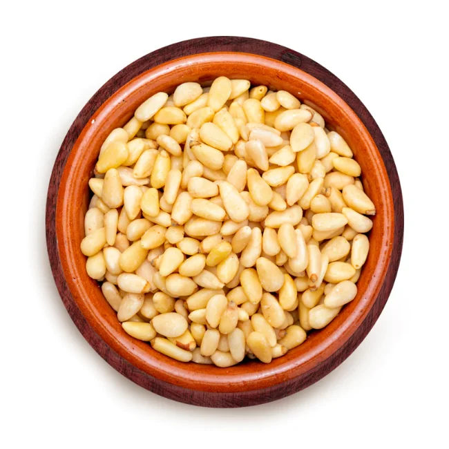 1 Pine nut.png