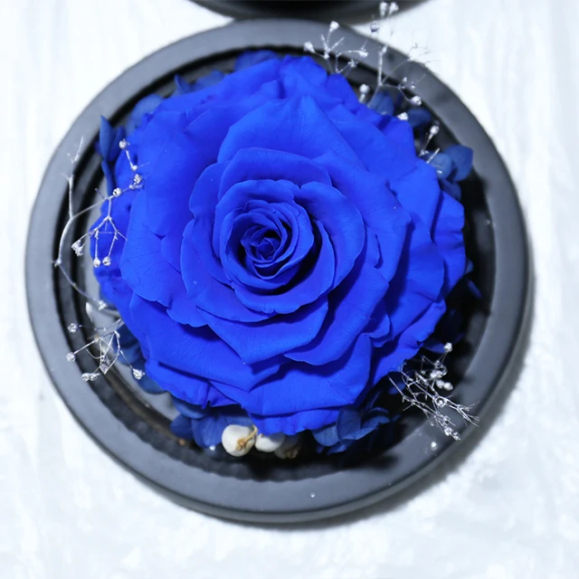 Preserved roses handmade forever rose flower in glass dome with gift box for home decor