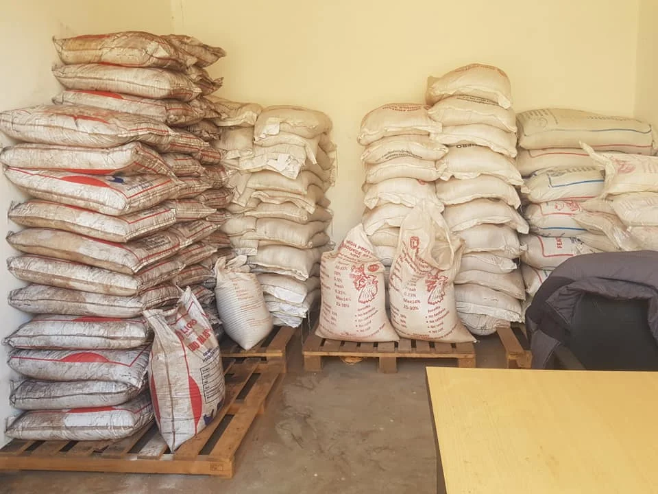 High Quality Feed Blood Meal for Animal Nutrition Feed At Low Price For sale/Blood Meal Animal Feed