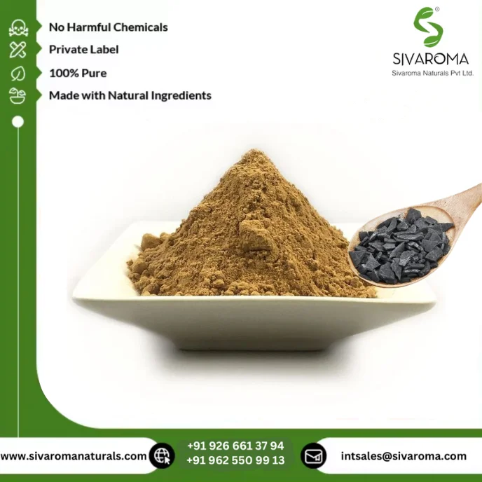Hot Selling Shilajit Extract Powder Pure Natural Herbal Water Soluble Solvent Extracted Health Energy Supply from Manufacturer