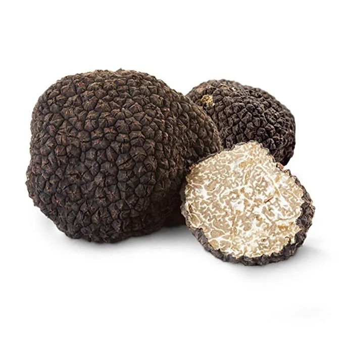 ORGANIC Color Shelf Mushroom Truffle Italy Wild Fresh Blackcarpaccio of Fine BLACK TRUFFLES