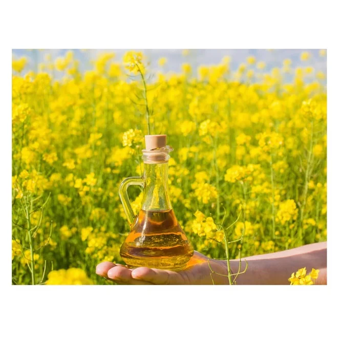 Best Quality Hot Sale Price Refined Rapeseed Oil / Canola Cooking Oil