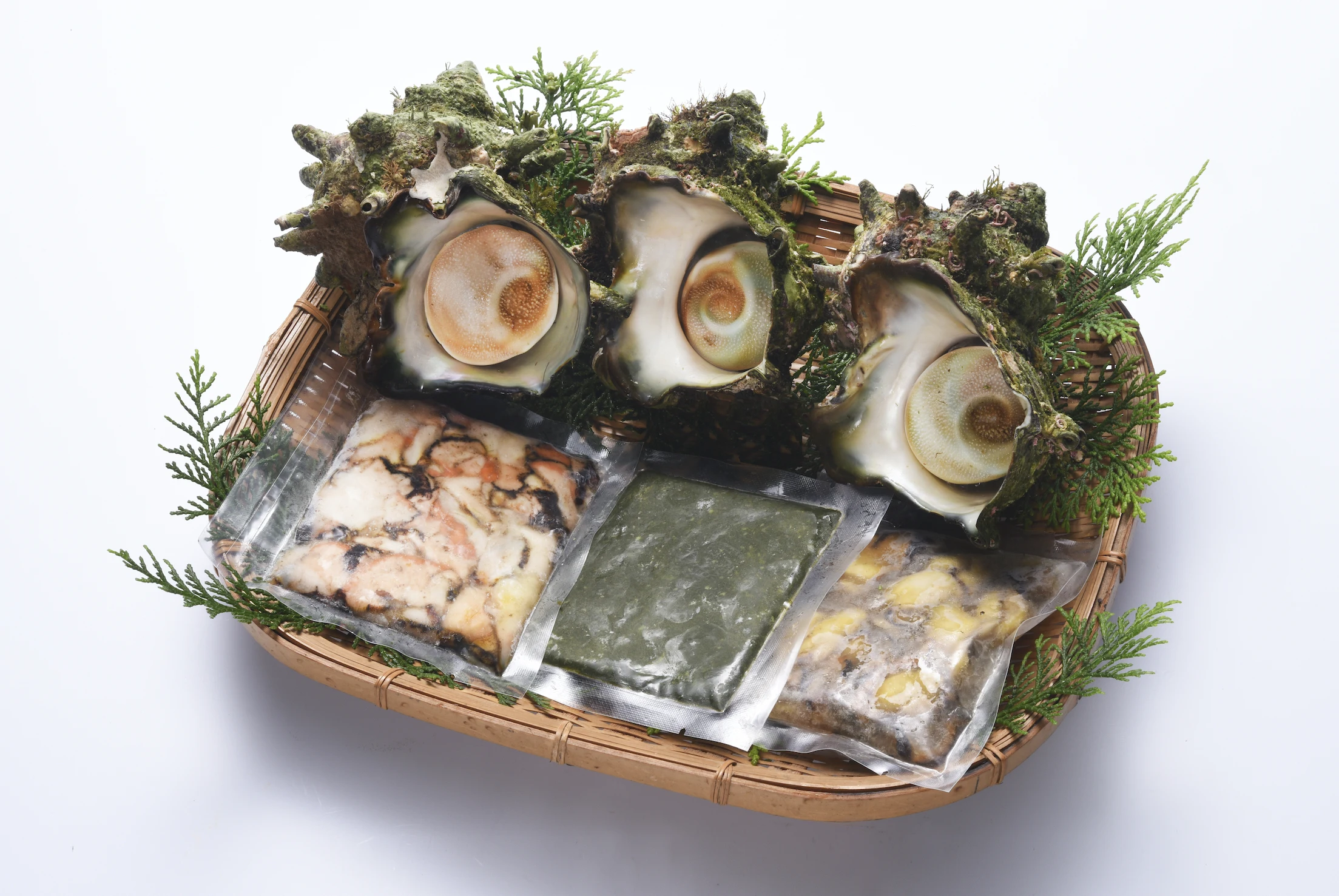 Gift-box version frozen shellfish Japanese special Turbo Sazae meat and liver paste with shell for wholesale