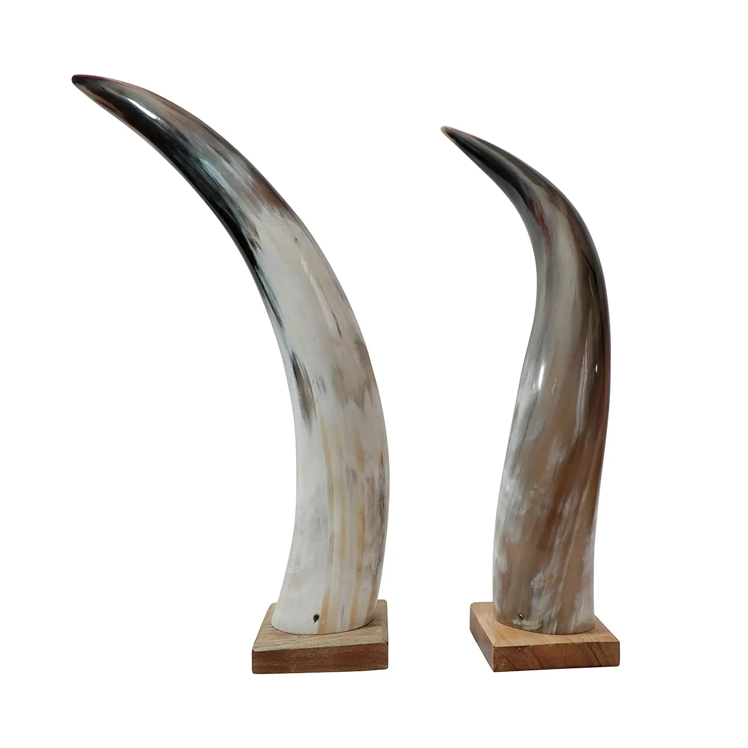 Decorativehorn  Natural Buffalo Horn Hot selling Product  Horn for wall decoration Best Quality