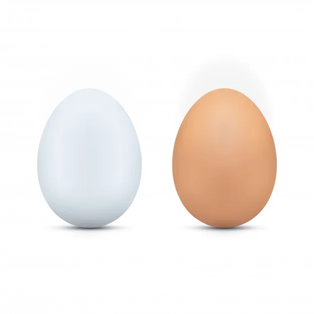 Лучшее качество, свежие коричневые столовые куриные яйца по низкой цене, доступная доставка по всему миру