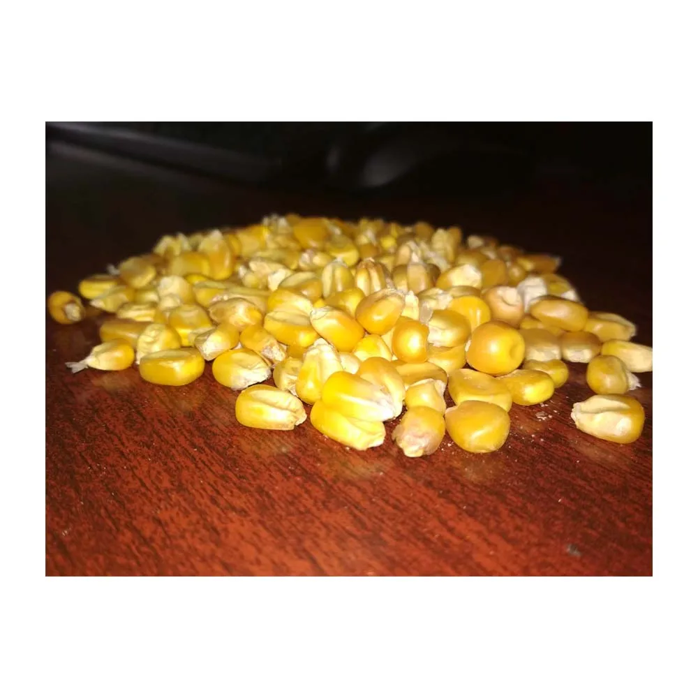 Yellow Corn & White Corn