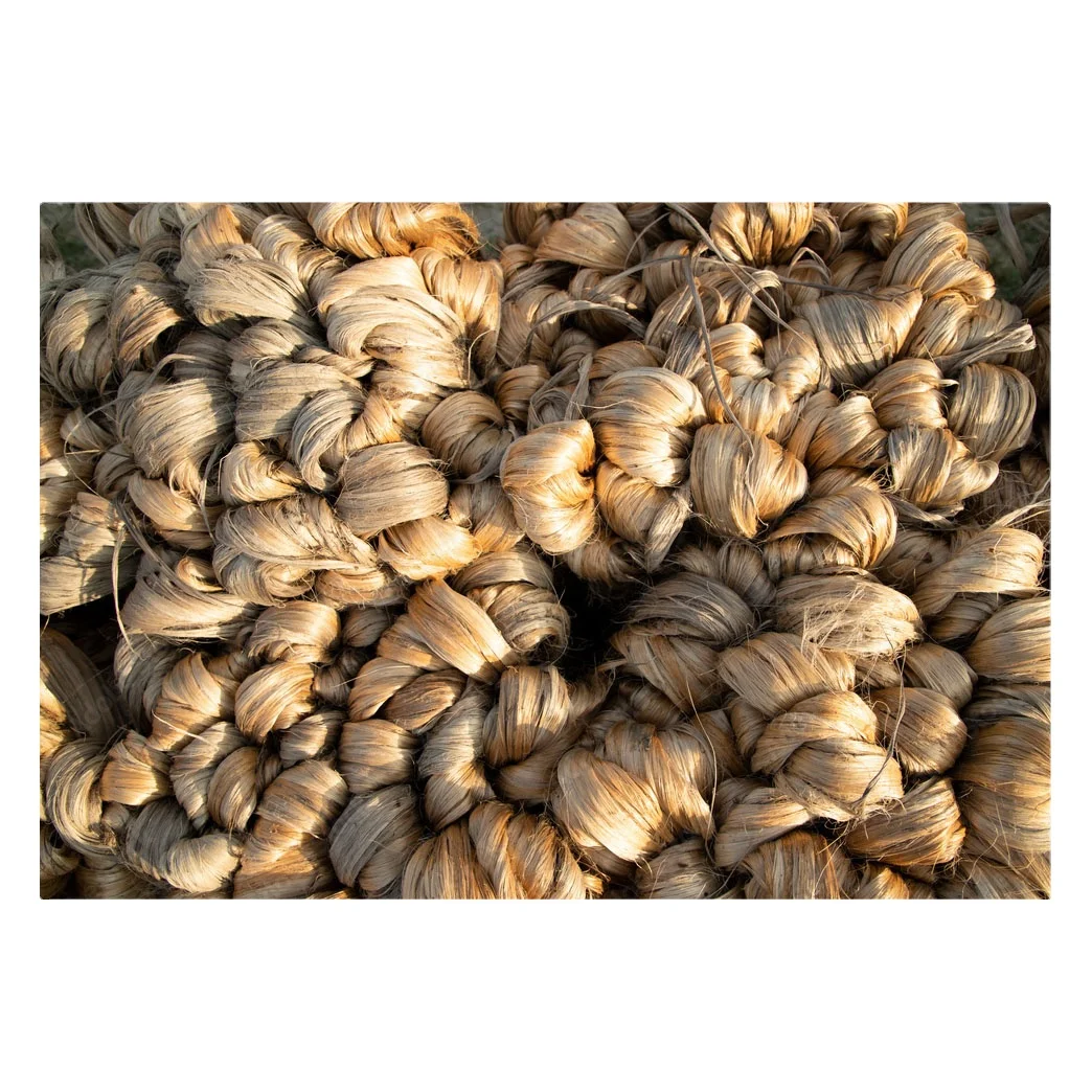 100 % Raw Tossa Jute Pure High Quality Exportable Wholesale Lowest Price Raw Tossa Jute World Wide Supply From Bangladesh 2023