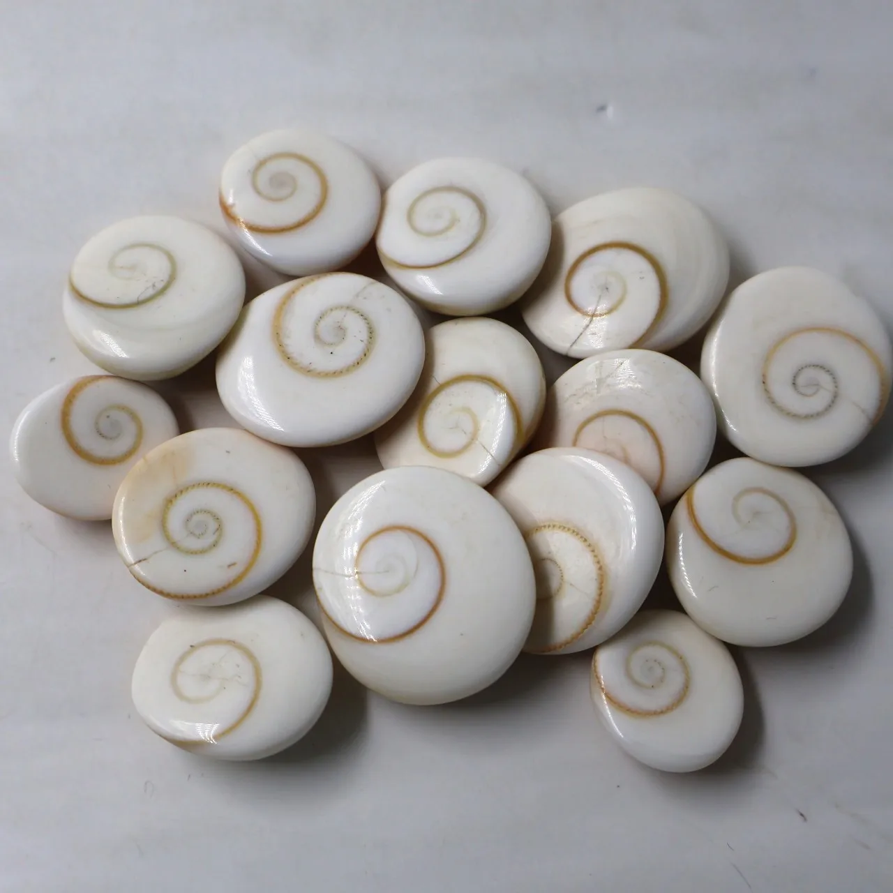 Natural Shiva eye stone gemstone Gomti chakra shiva eye wholesale gemstone sea shell gemstone for jewelry Hand Made