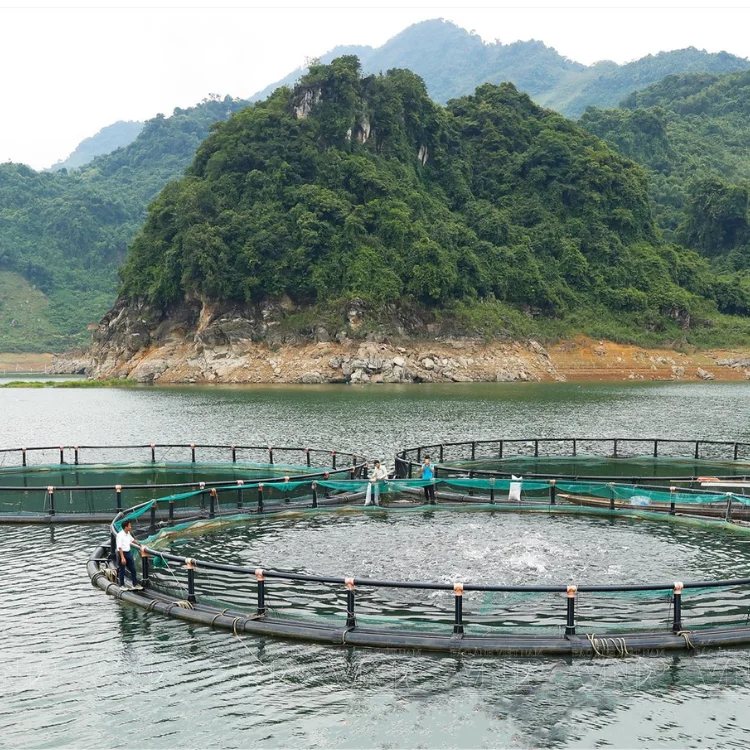 High Quality Custom HDPE Floating round Crab Fishing Cage Secure Aquatic Research Center Net from Vietnamese Manufacturer